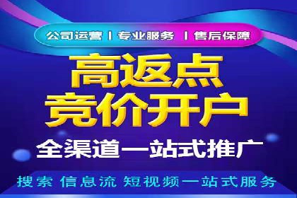 竞价托管SEM的创意与实践：多行业案例集