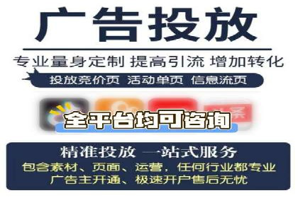 某企业SEM广告投放的ROI提升策略及效果展示